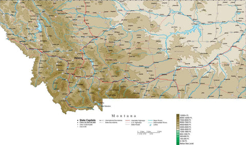 Montana Map with Contour Background - Cut Out Style
