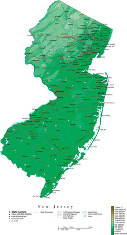 New Jersey Map with Contour Background - Cut Out Style