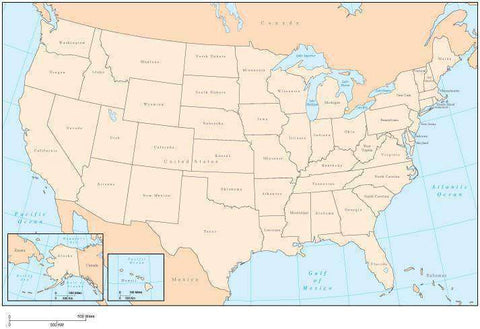 Digital USA Single Color Map with States