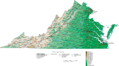 Virginia Map with Contour Background - Cut Out Style