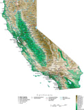 California Map  with Contour Background - Cut Out Style