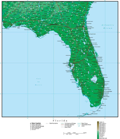 Florida Map with Contour Background