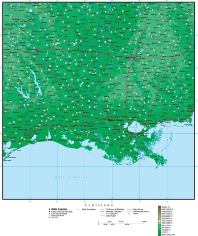 Louisiana Map with Contour Background