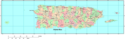 Puerto Rico Map with County Boundaries