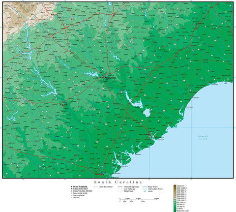 South Carolina Map with Contour Background