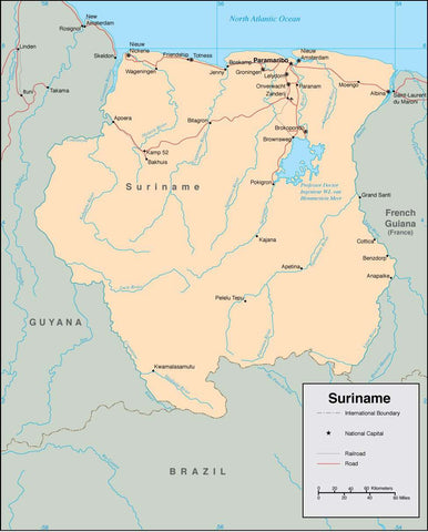 Digital Suriname map in Adobe Illustrator vector format