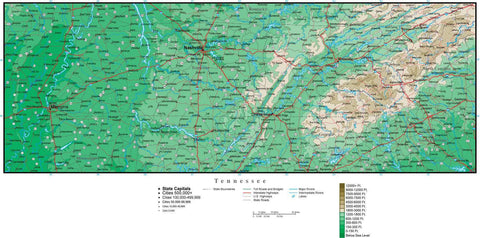 Tennessee Map with Contour Background