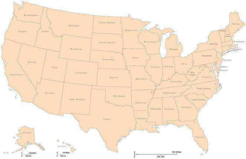 Digital USA Single Color Map with States